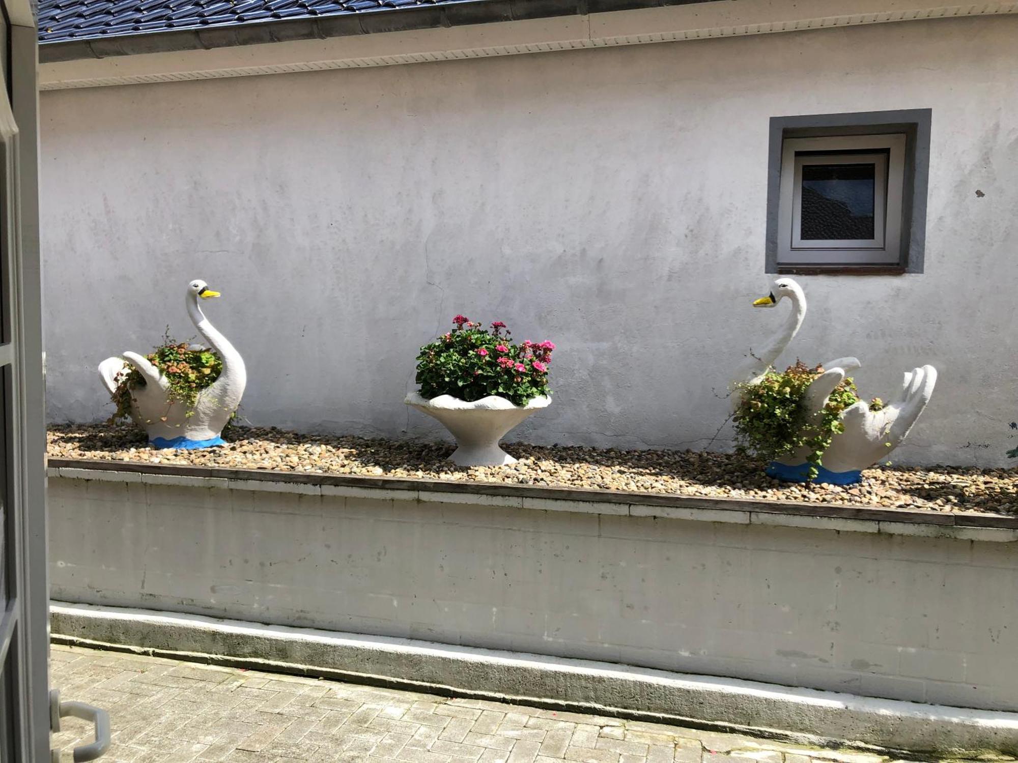 Garni Hotel-Pension Holum Neuharlingersiel Eksteriør billede